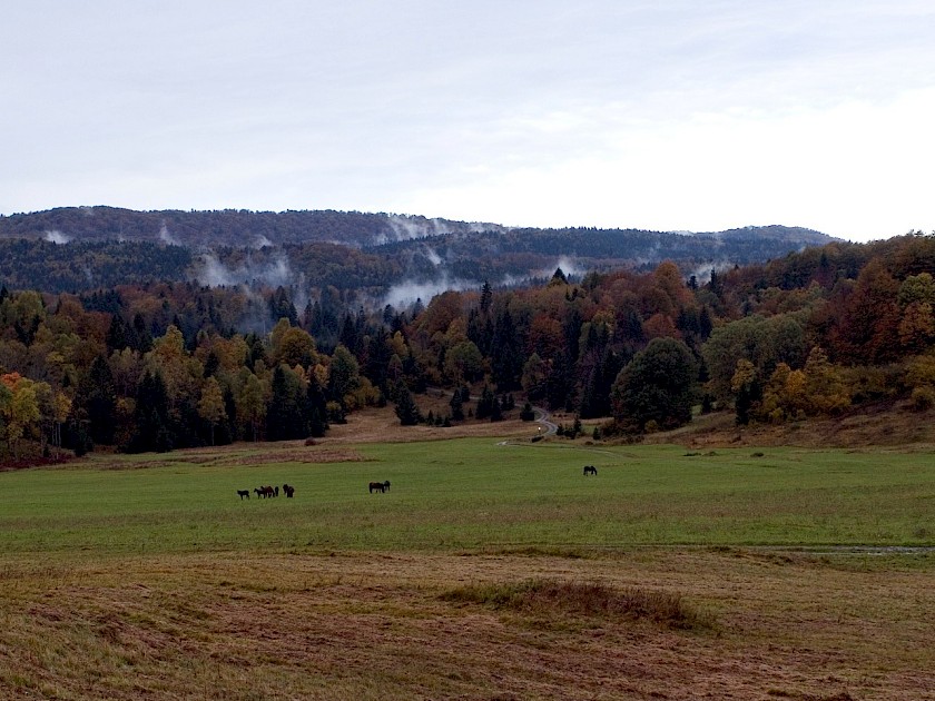 Utrinek s potepa, oktober 2009