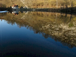 Svetloba