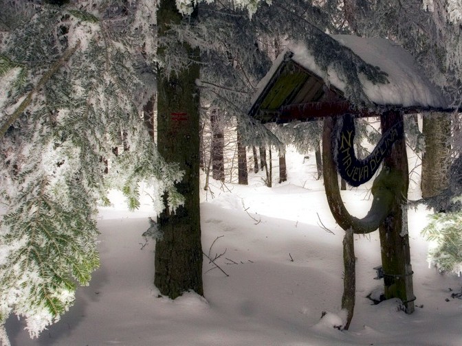 Utrinek s potepa, januar 2010