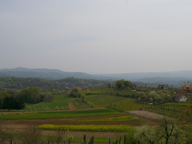 Krokarije Tonija Gašperiča