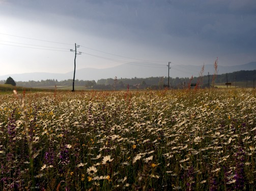 Razmišljanja, maj 2010