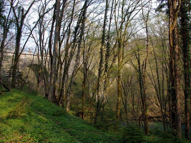 Razmišljanja: Le vkup, le vkup, uboga gmajna