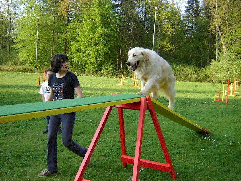 Agility - rekreacija in zabava, tekmovanje in druženje