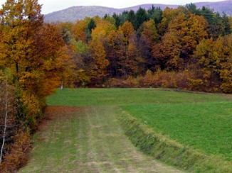 Zasuk proti beli krajini, oktober 2010