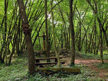 Utrinek s potepa, avgust 2010