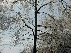 Razmišljanja: Srečnega in zdravega!