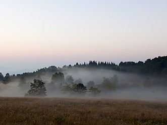 Življenje na Planini in planinske rože